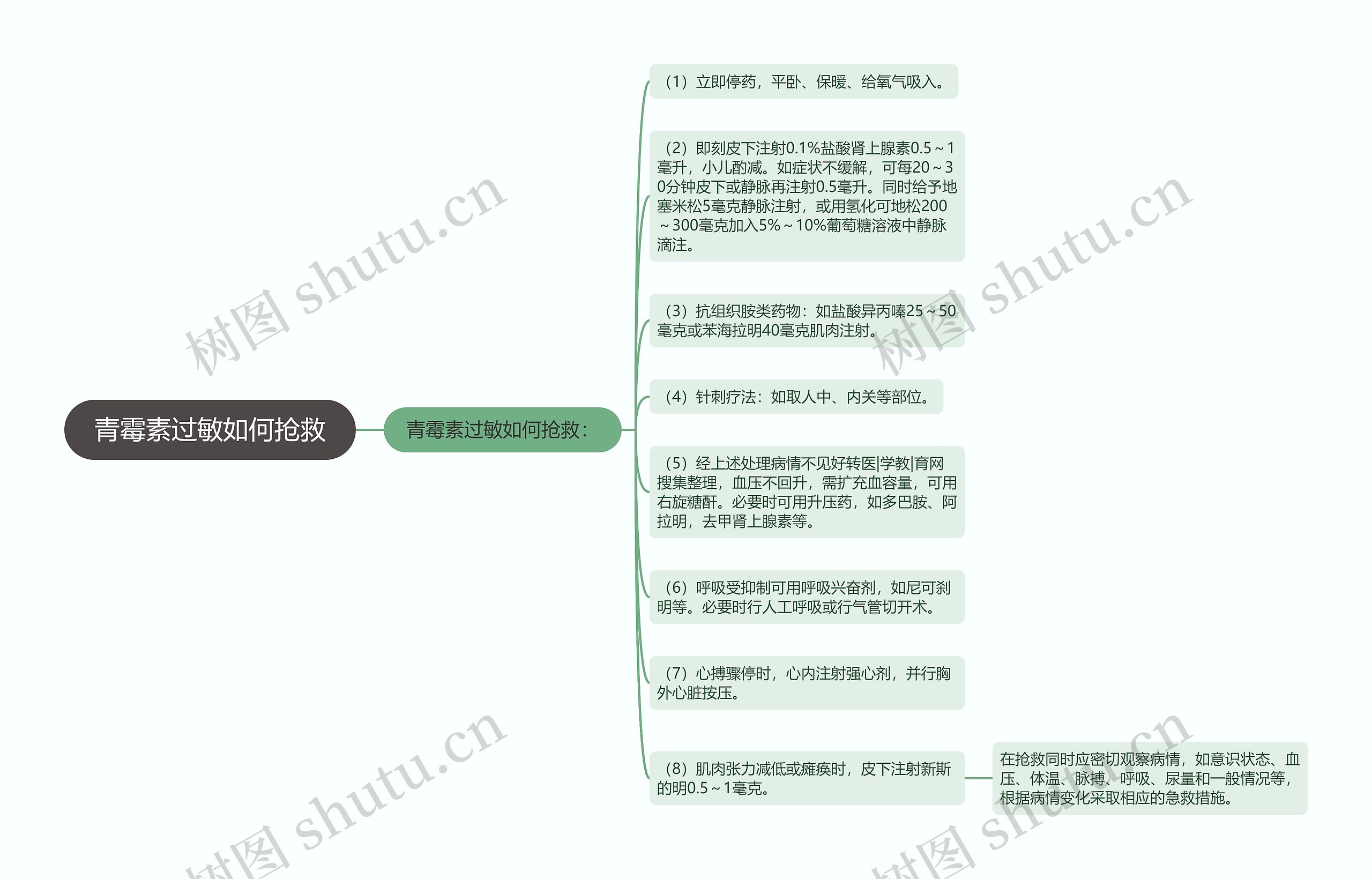 青霉素过敏如何抢救思维导图