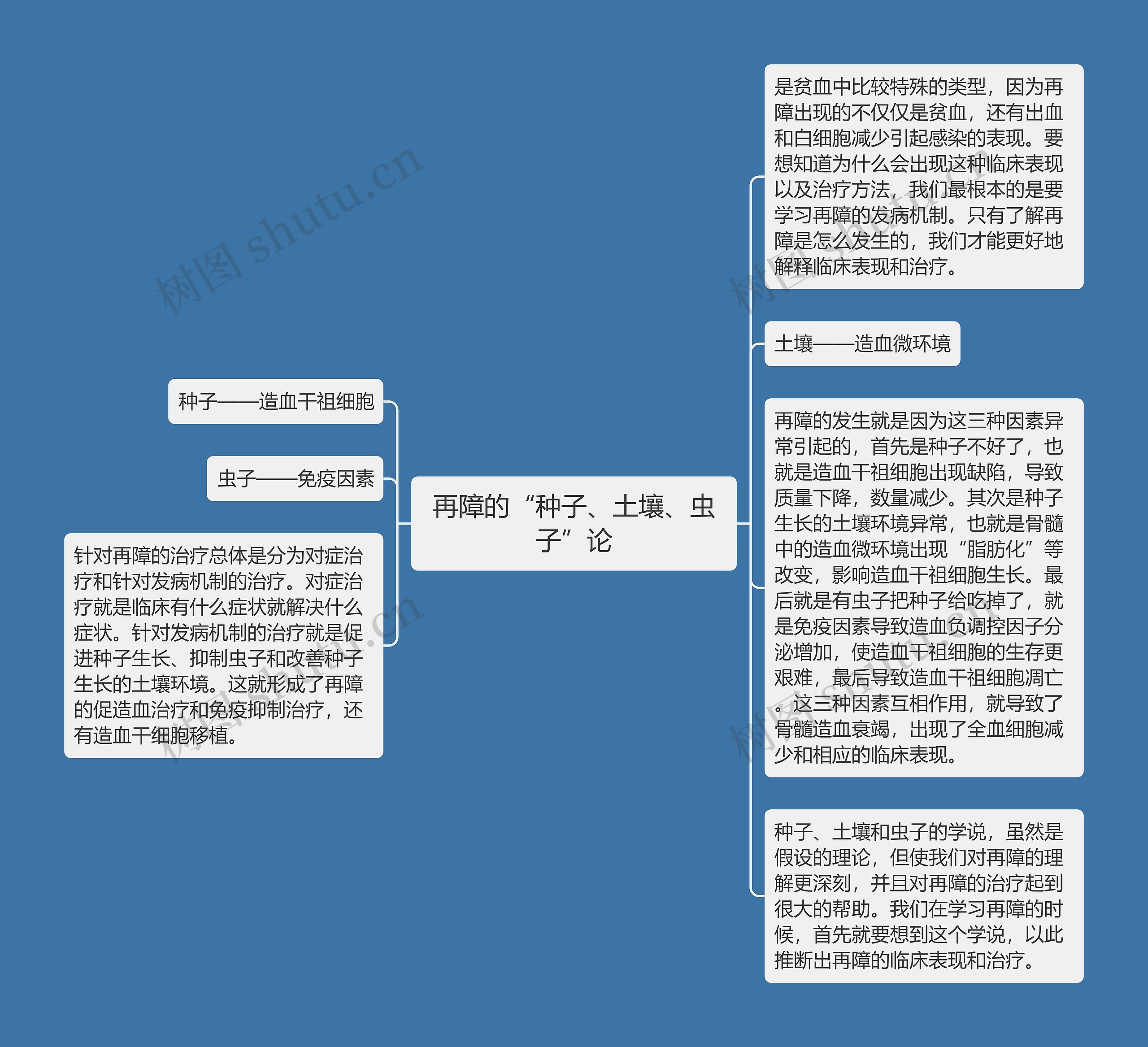 再障的“种子、土壤、虫子”论思维导图