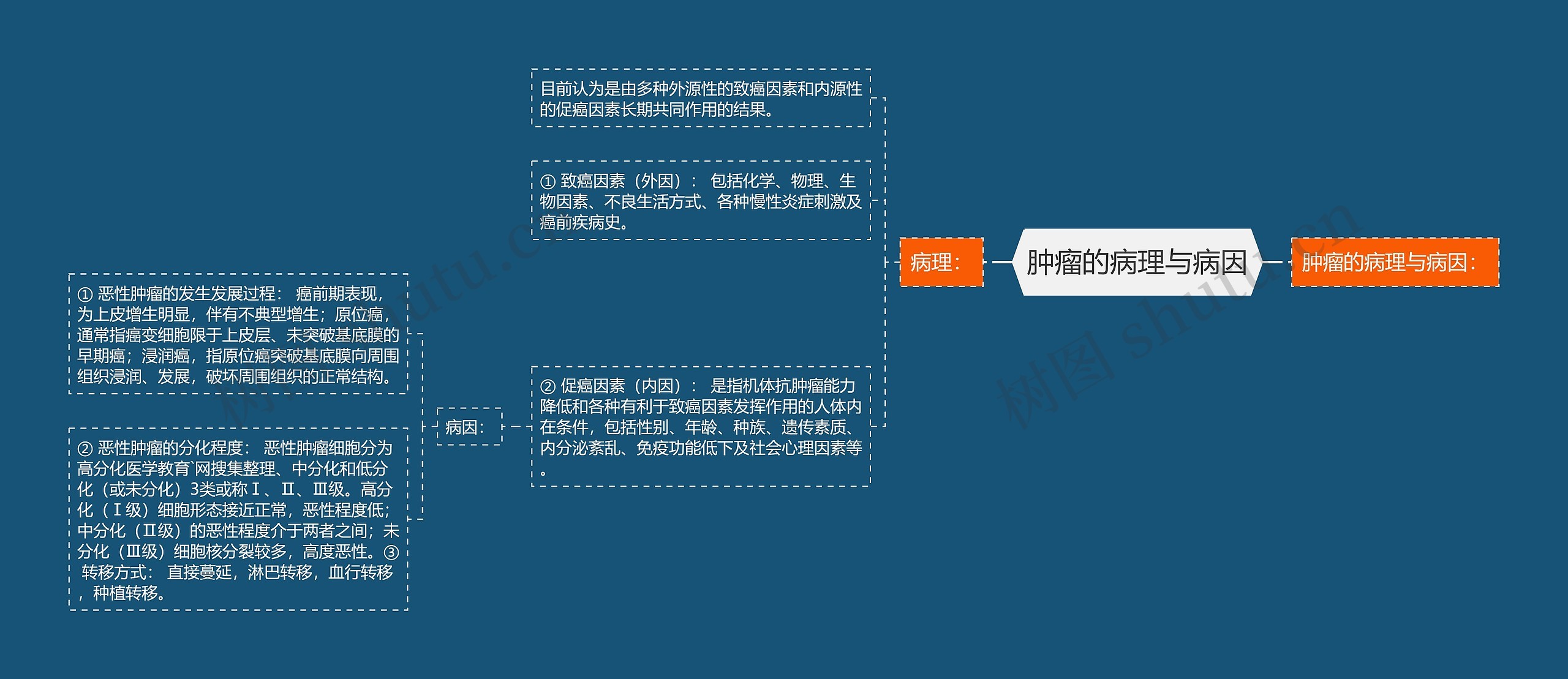 肿瘤的病理与病因思维导图