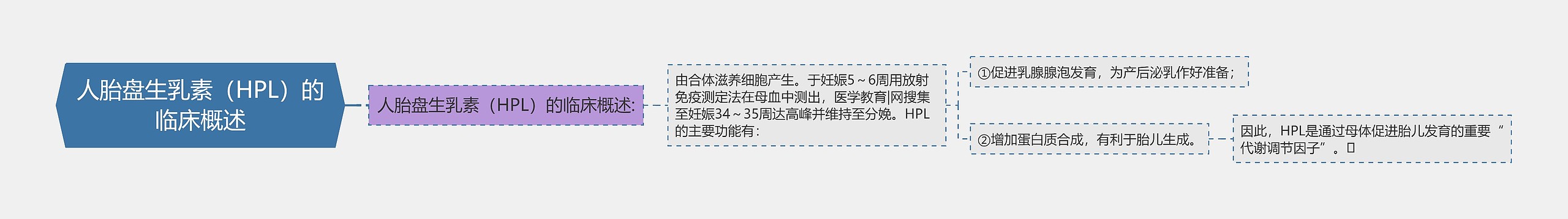 人胎盘生乳素(HPL)的临床概述 人胎盘生乳素(HPL)的临床概述