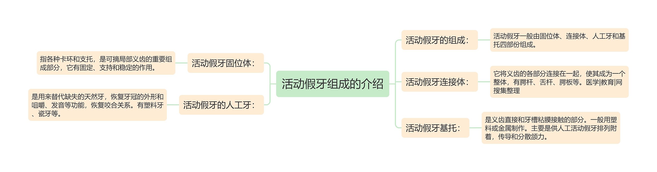 活动假牙组成的介绍思维导图