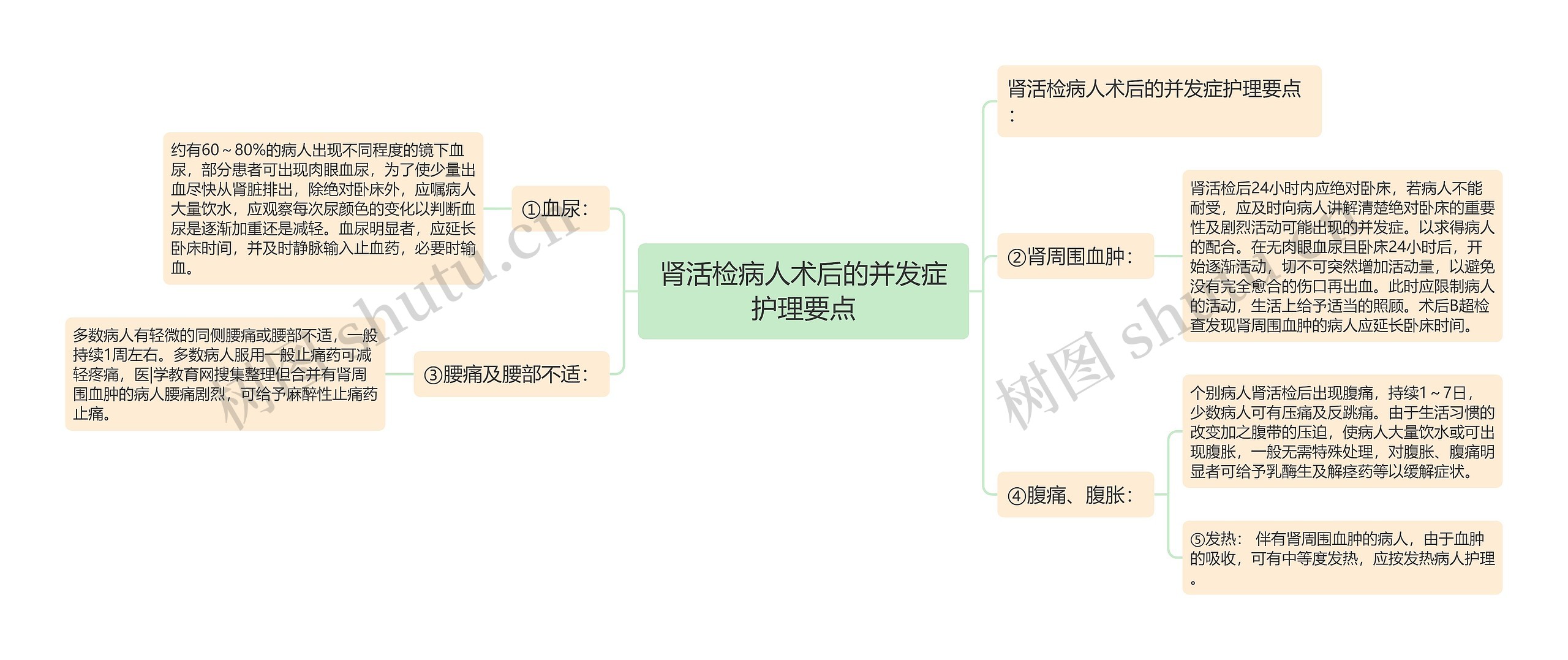 肾活检病人术后的并发症护理要点