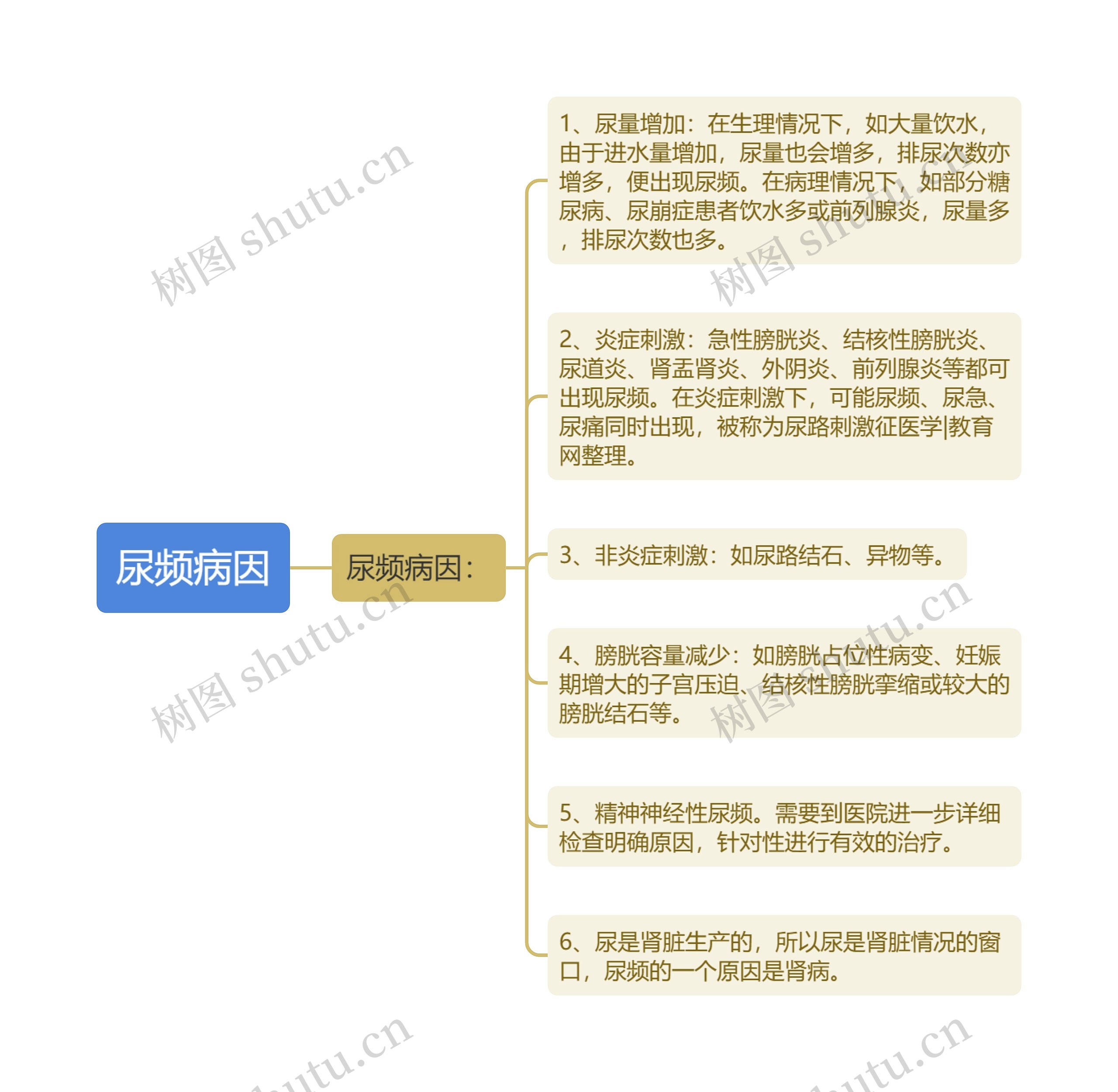 尿频病因思维导图