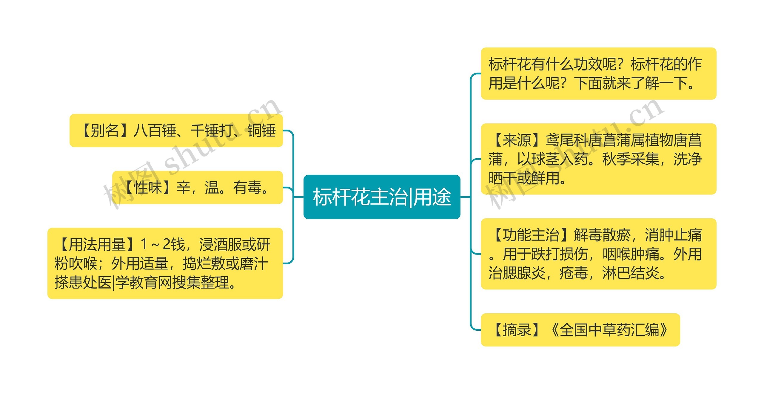 标杆花主治|用途