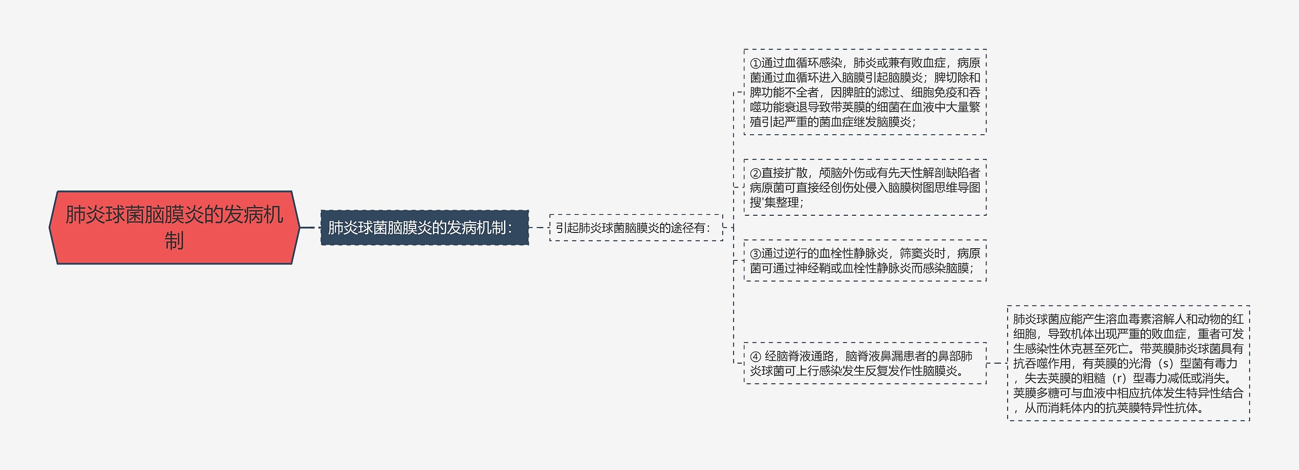 肺炎球菌脑膜炎的发病机制思维导图