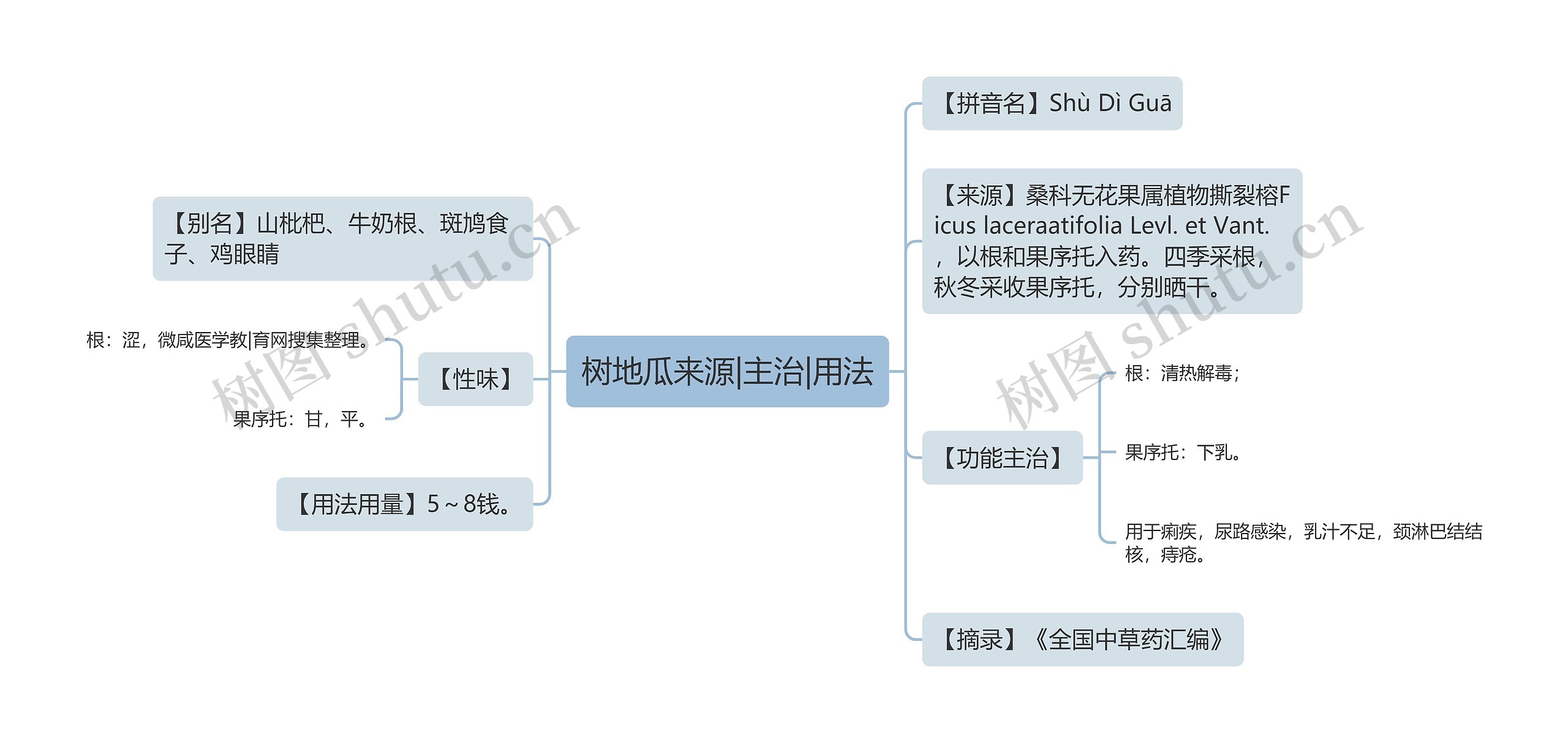 树地瓜来源|主治|用法