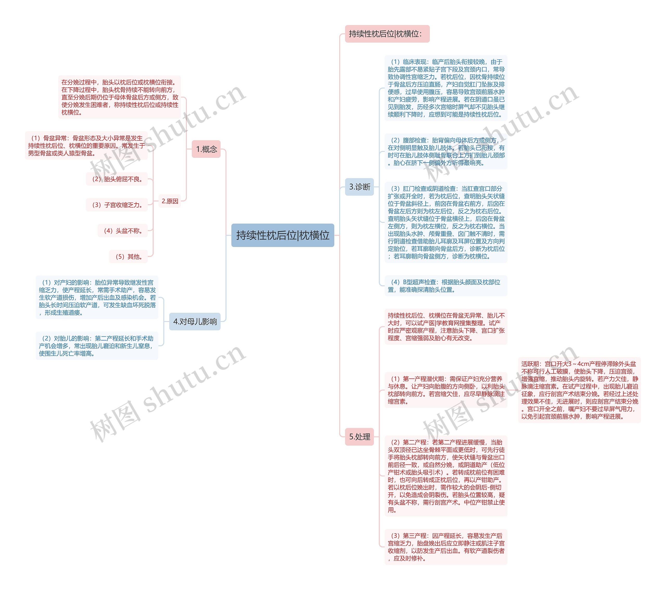 持续性枕后位|枕横位思维导图