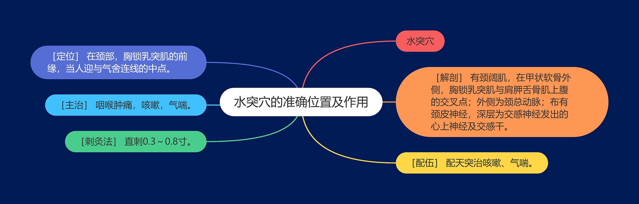 水突穴的准确位置及作用思维导图