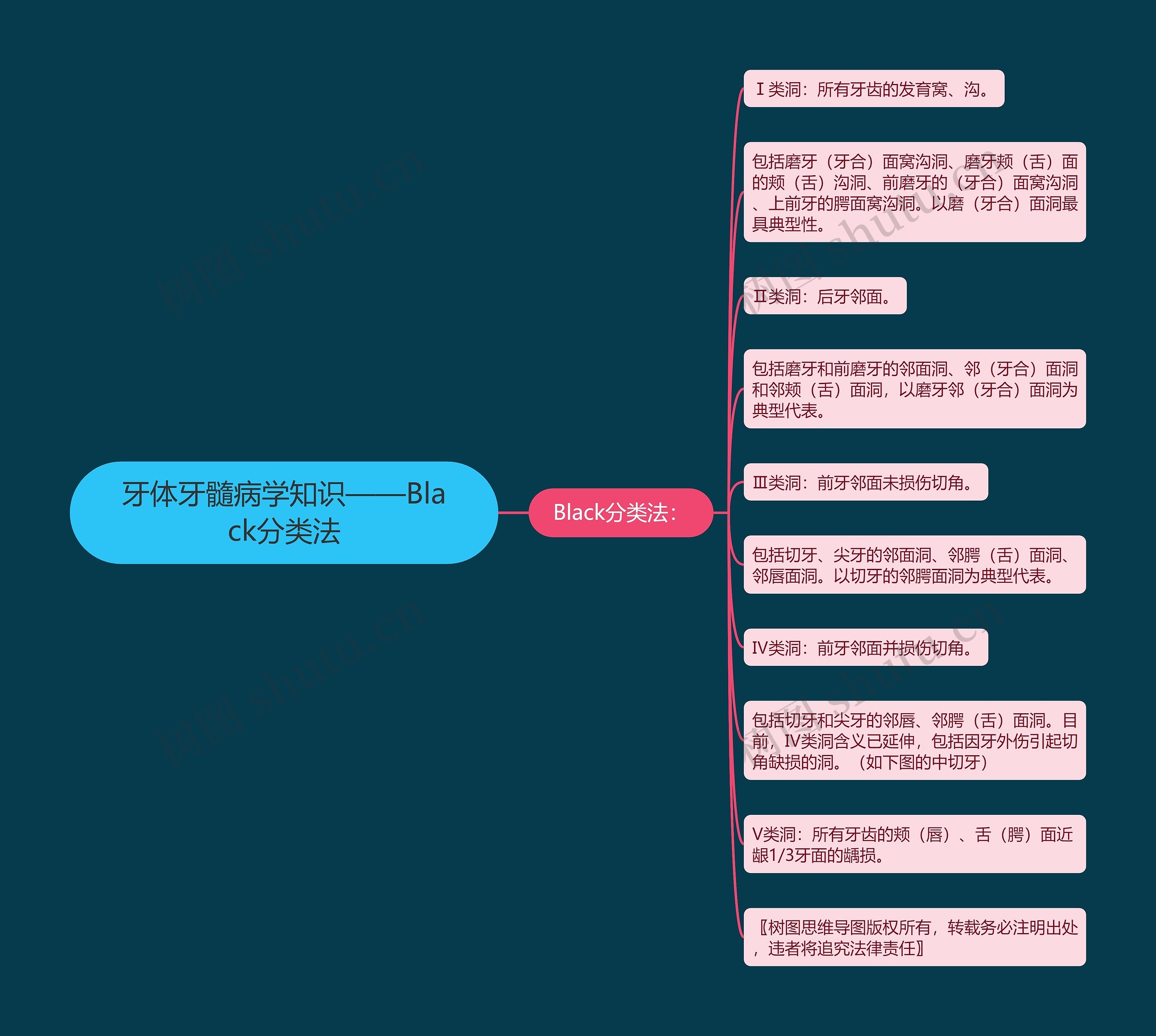 牙体牙髓病学知识——Black分类法 牙体牙髓病学知识——Black分类法