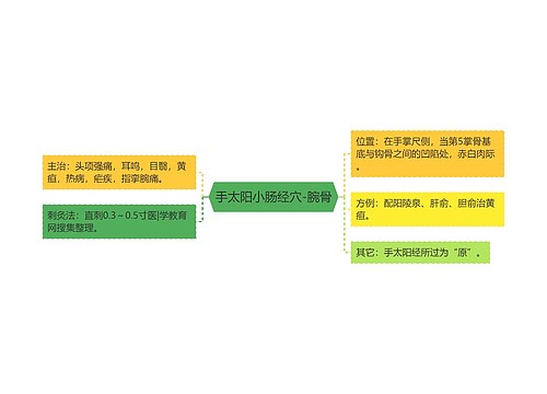 手太阳小肠经穴-腕骨