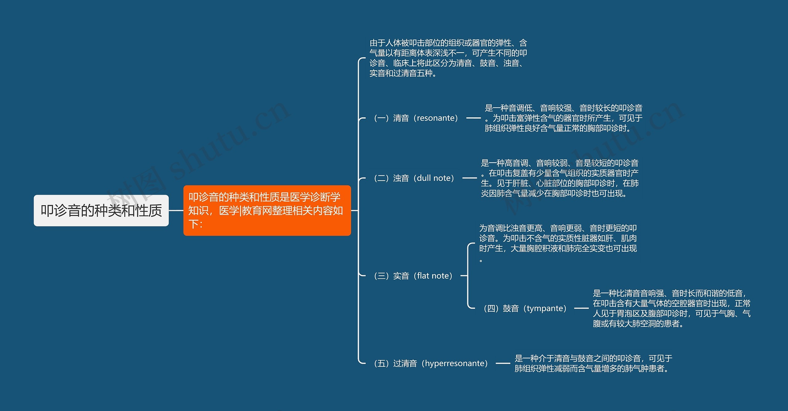 叩诊音的种类和性质思维导图