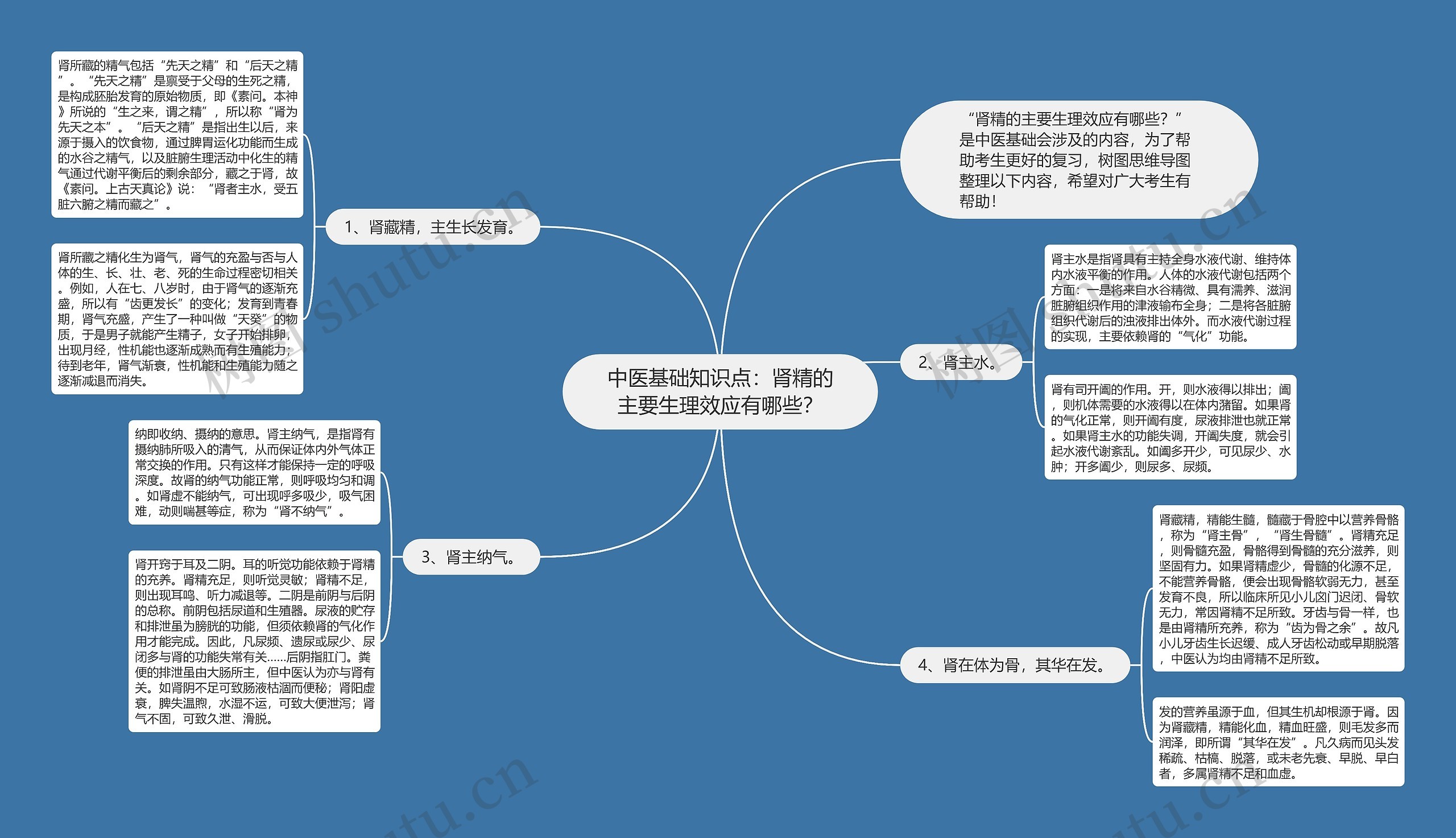 中医基础知识点：肾精的主要生理效应有哪些？思维导图