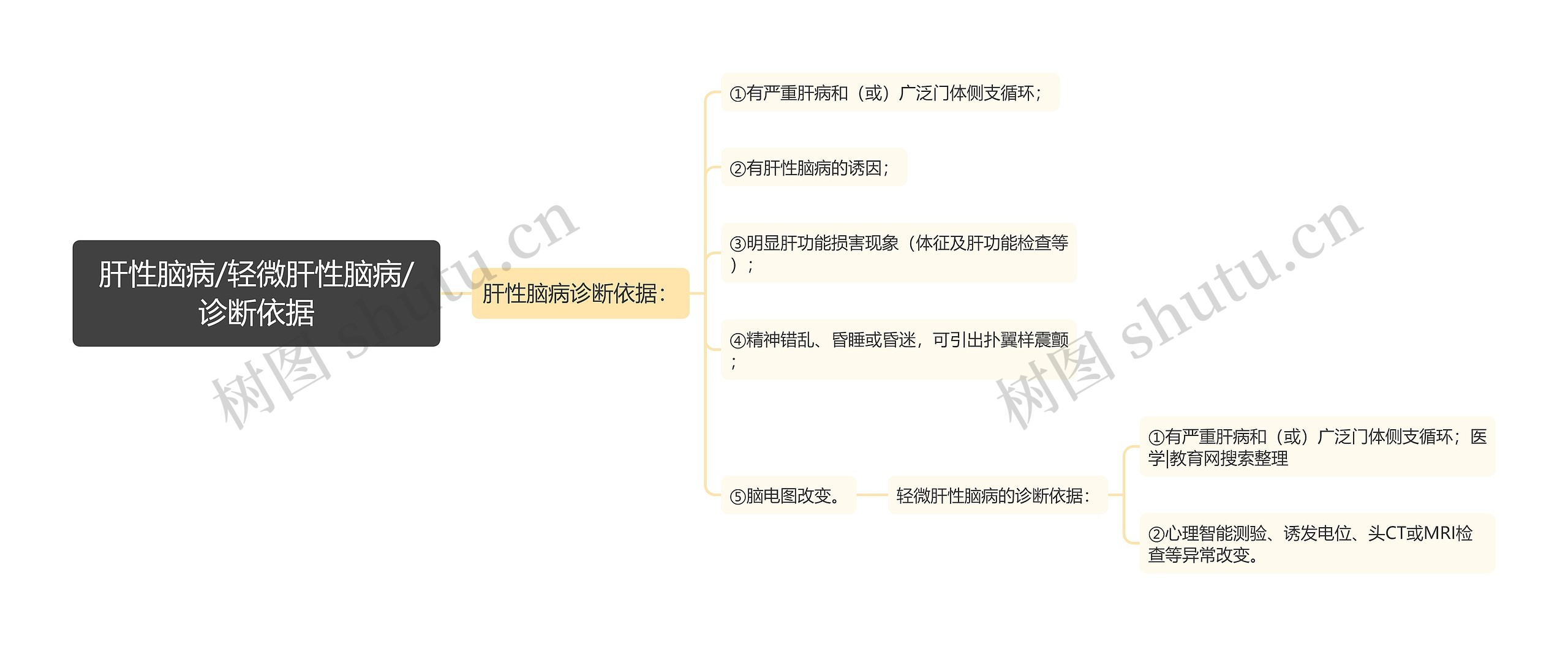 肝性脑病/轻微肝性脑病/诊断依据思维导图