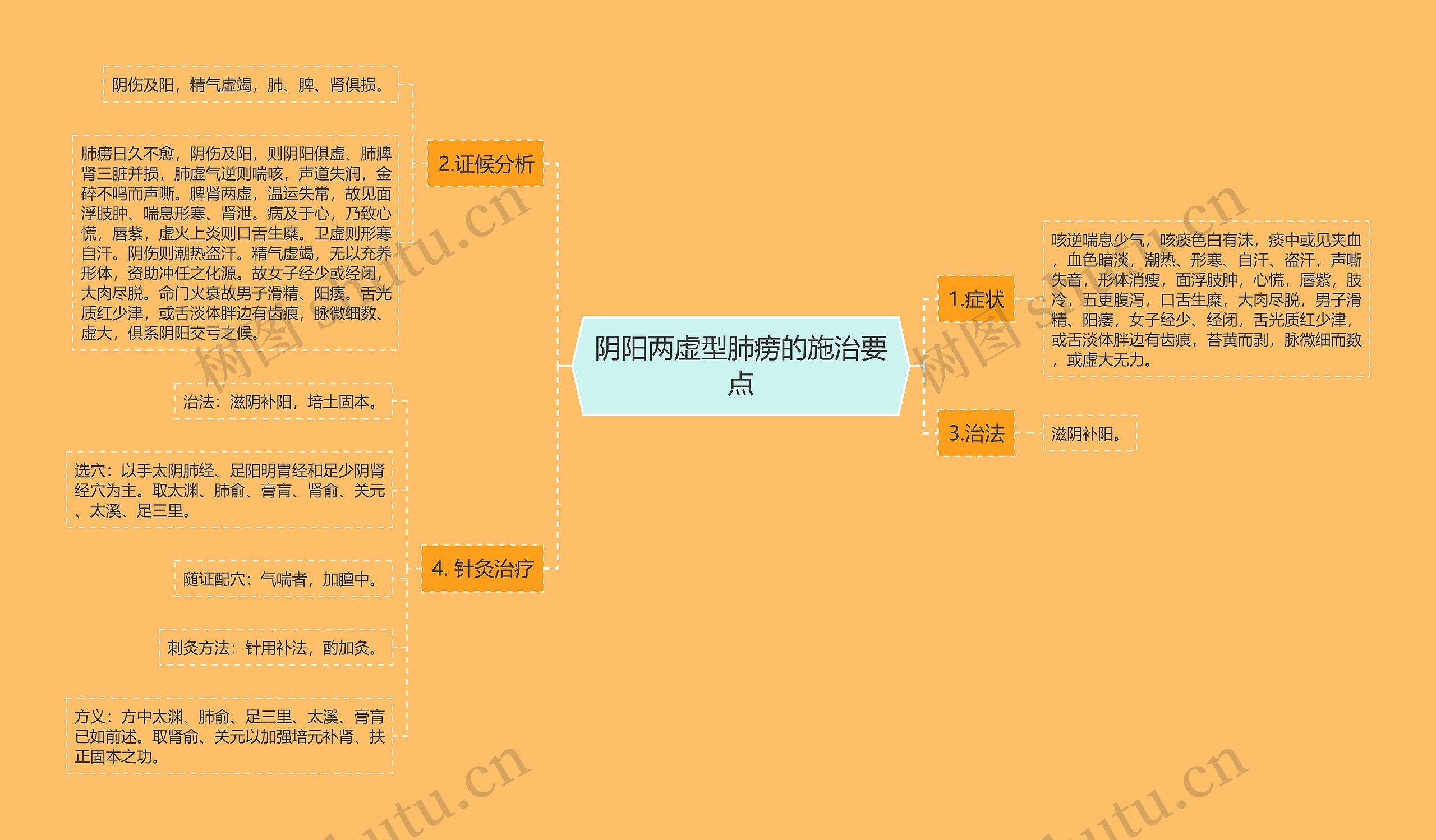 阴阳两虚型肺痨的施治要点思维导图