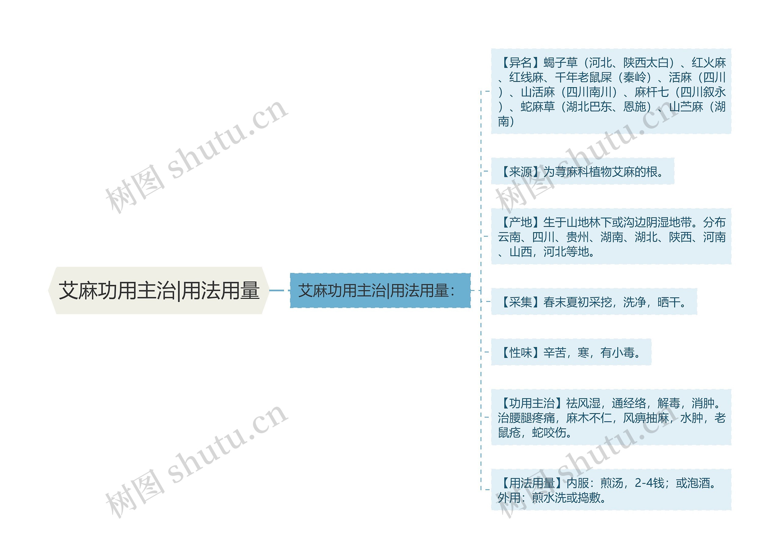 艾麻功用主治|用法用量