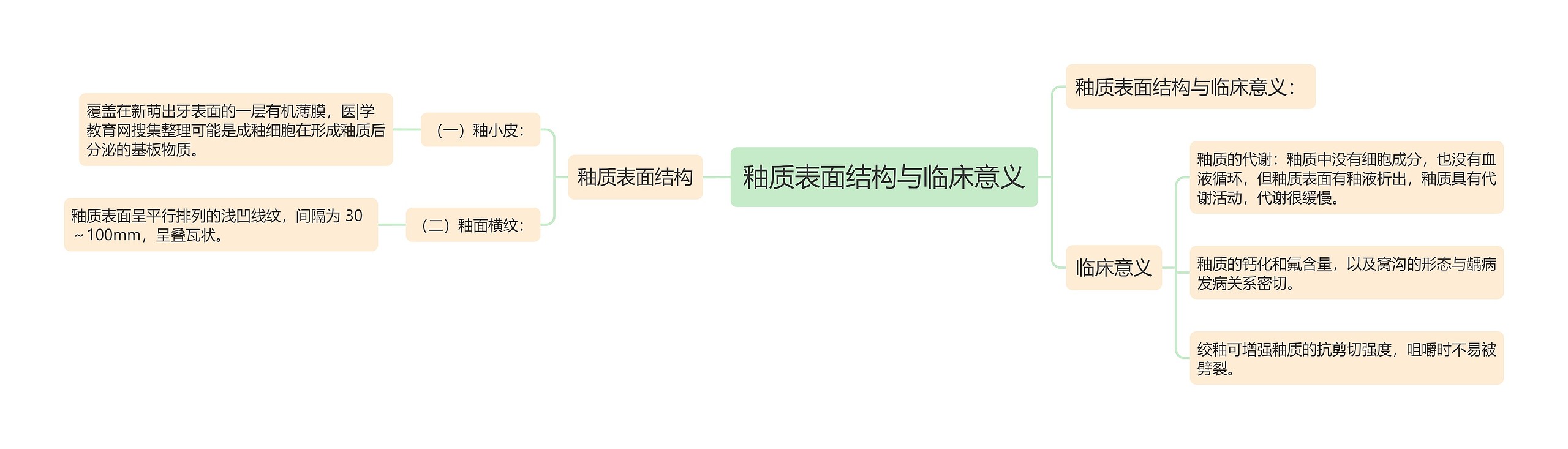 釉质表面结构与临床意义 釉质表面结构与临床意义