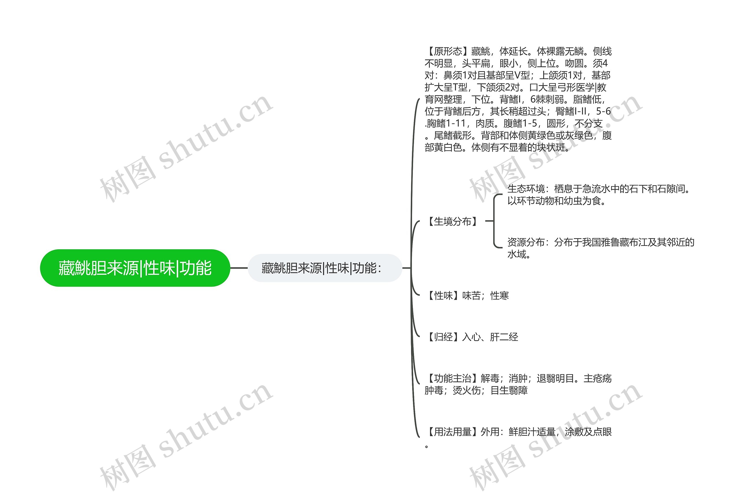 藏鮡胆来源|性味|功能思维导图