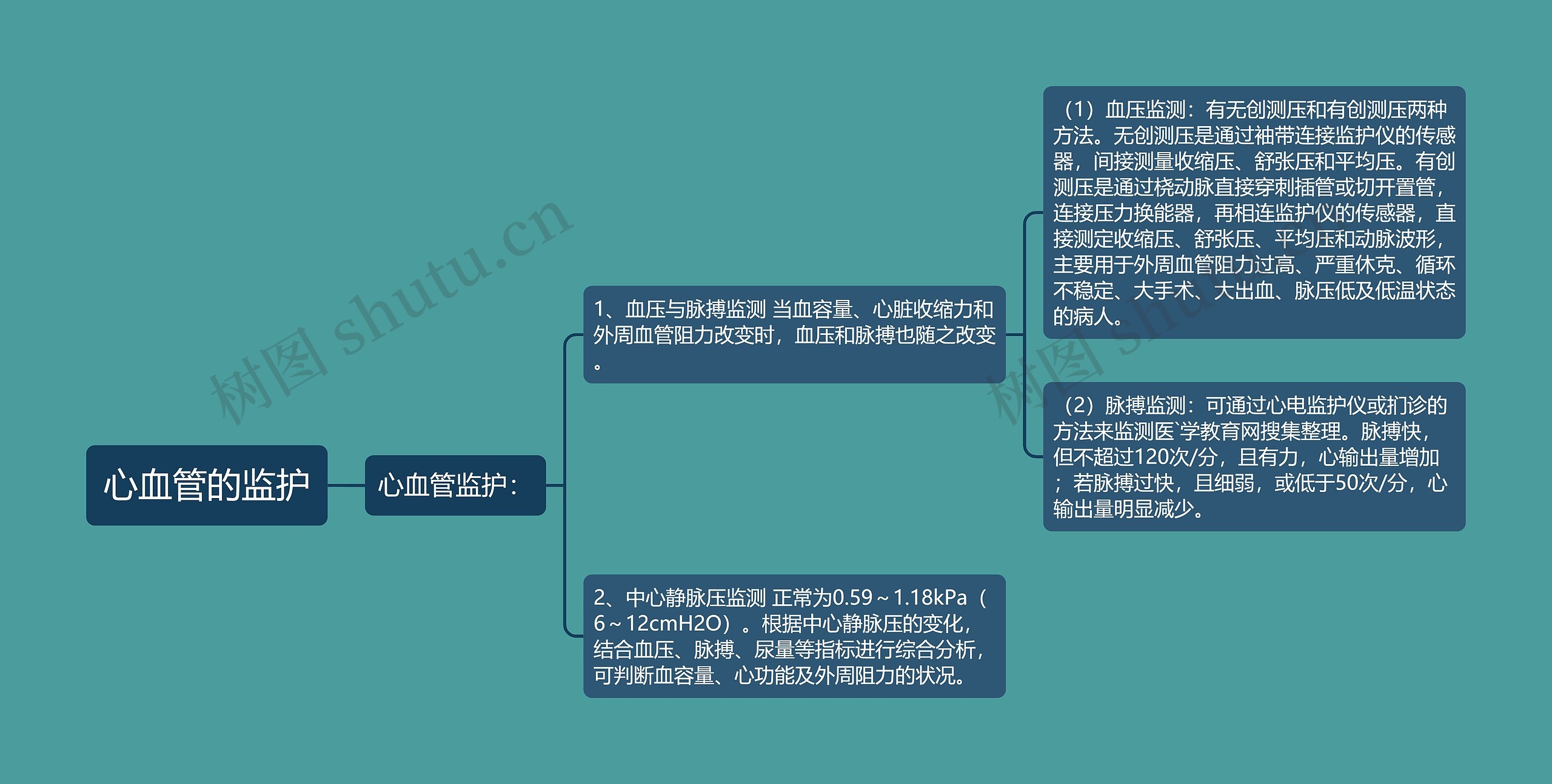 心血管的监护