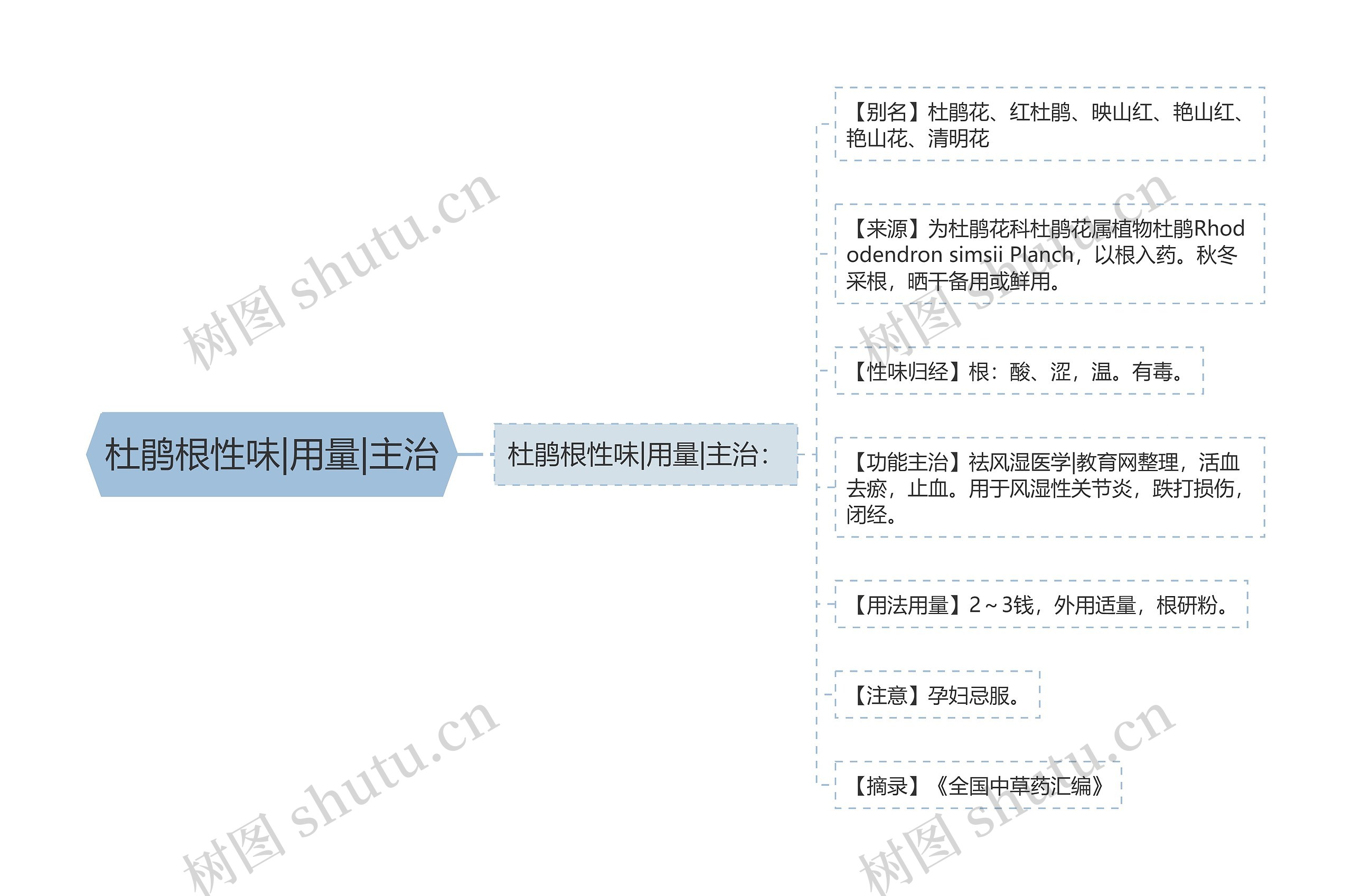 杜鹃根性味|用量|主治思维导图