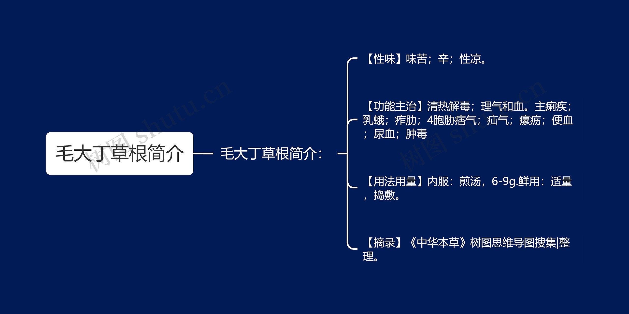 毛大丁草根简介