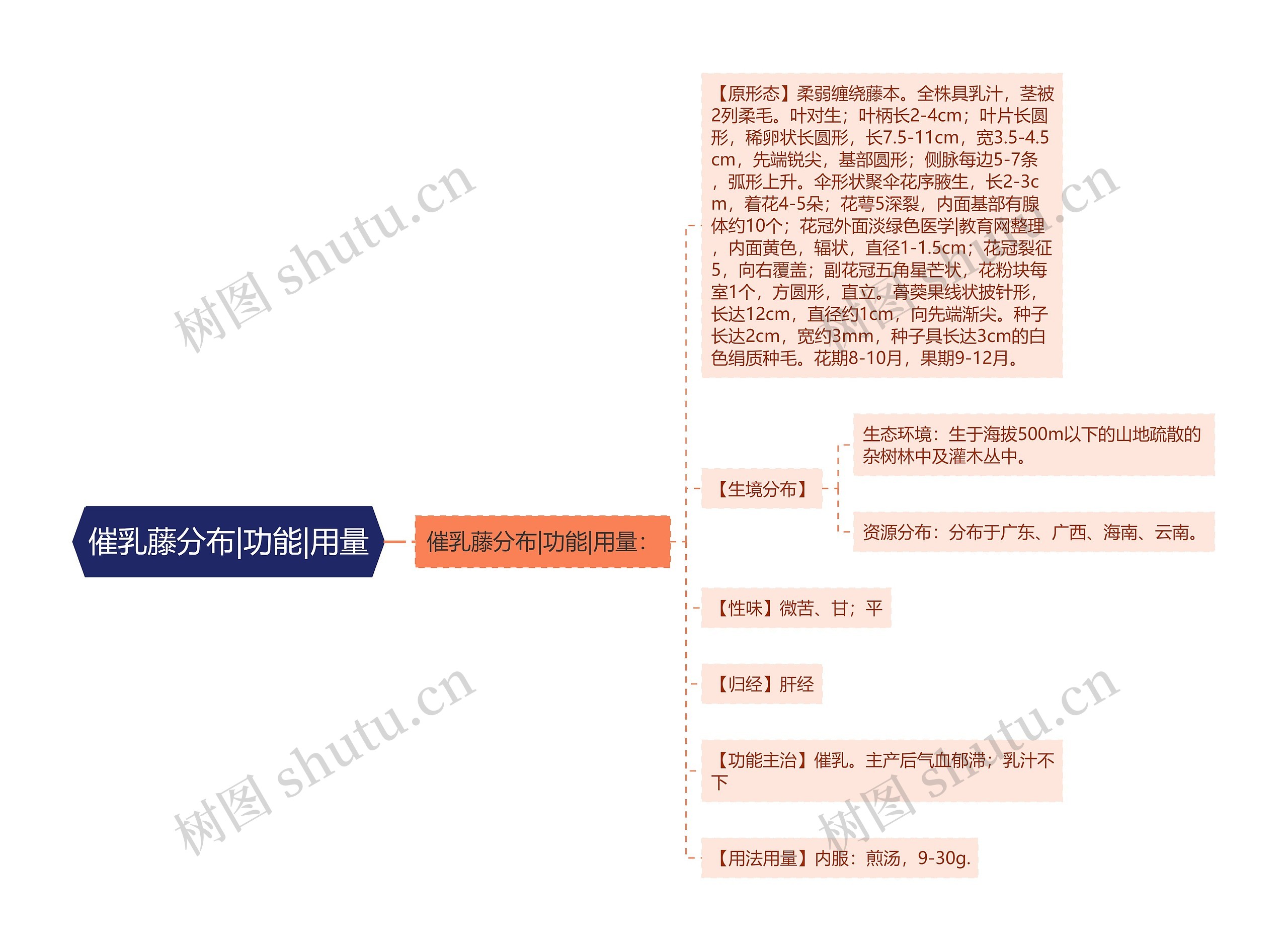 催乳藤分布|功能|用量思维导图