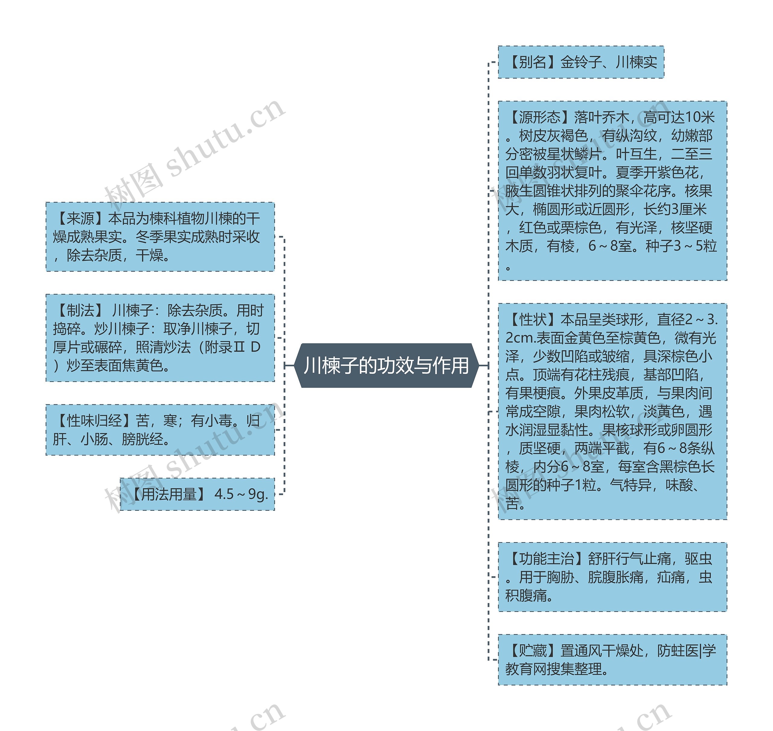 川楝子的功效与作用思维导图