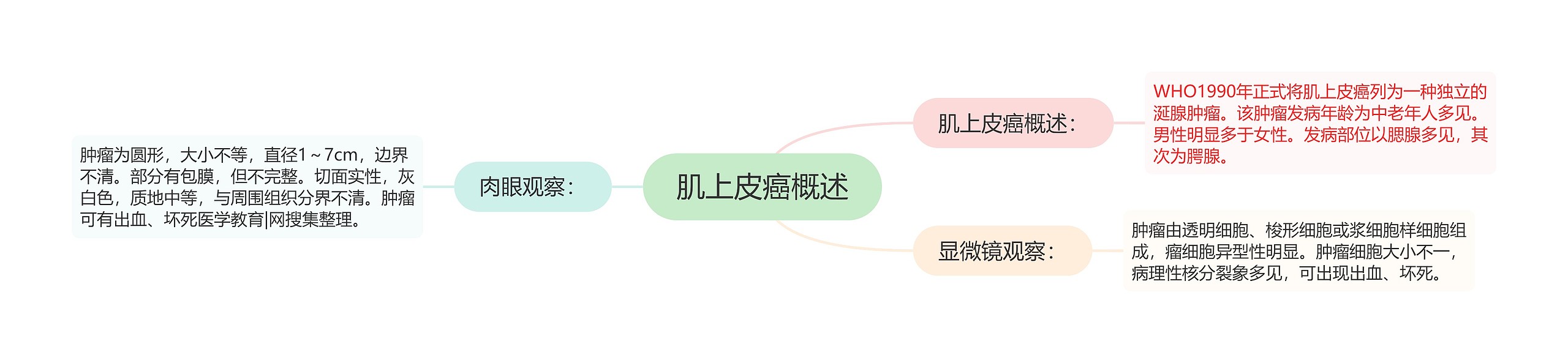 肌上皮癌概述 肌上皮癌概述