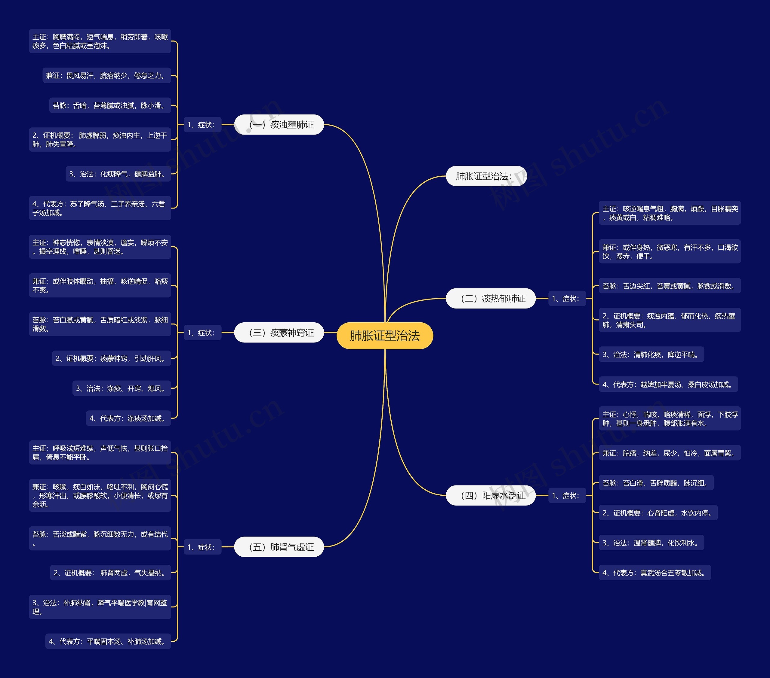 肺胀证型治法思维导图