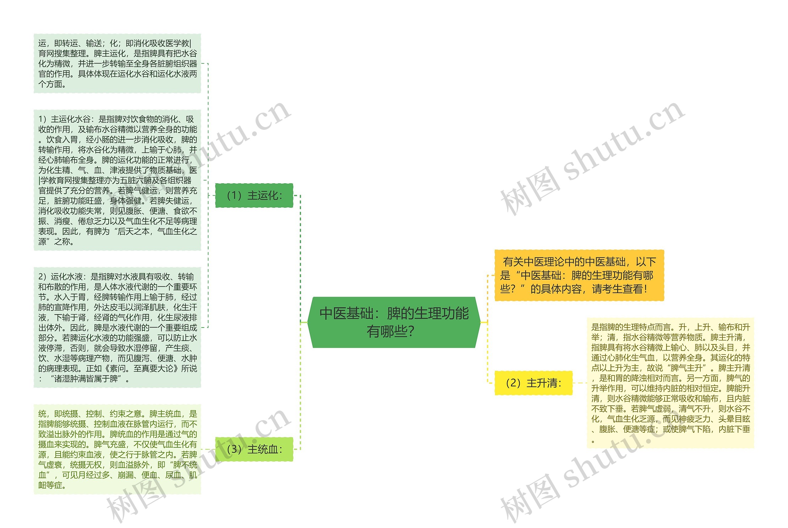 中医基础：脾的生理功能有哪些？思维导图