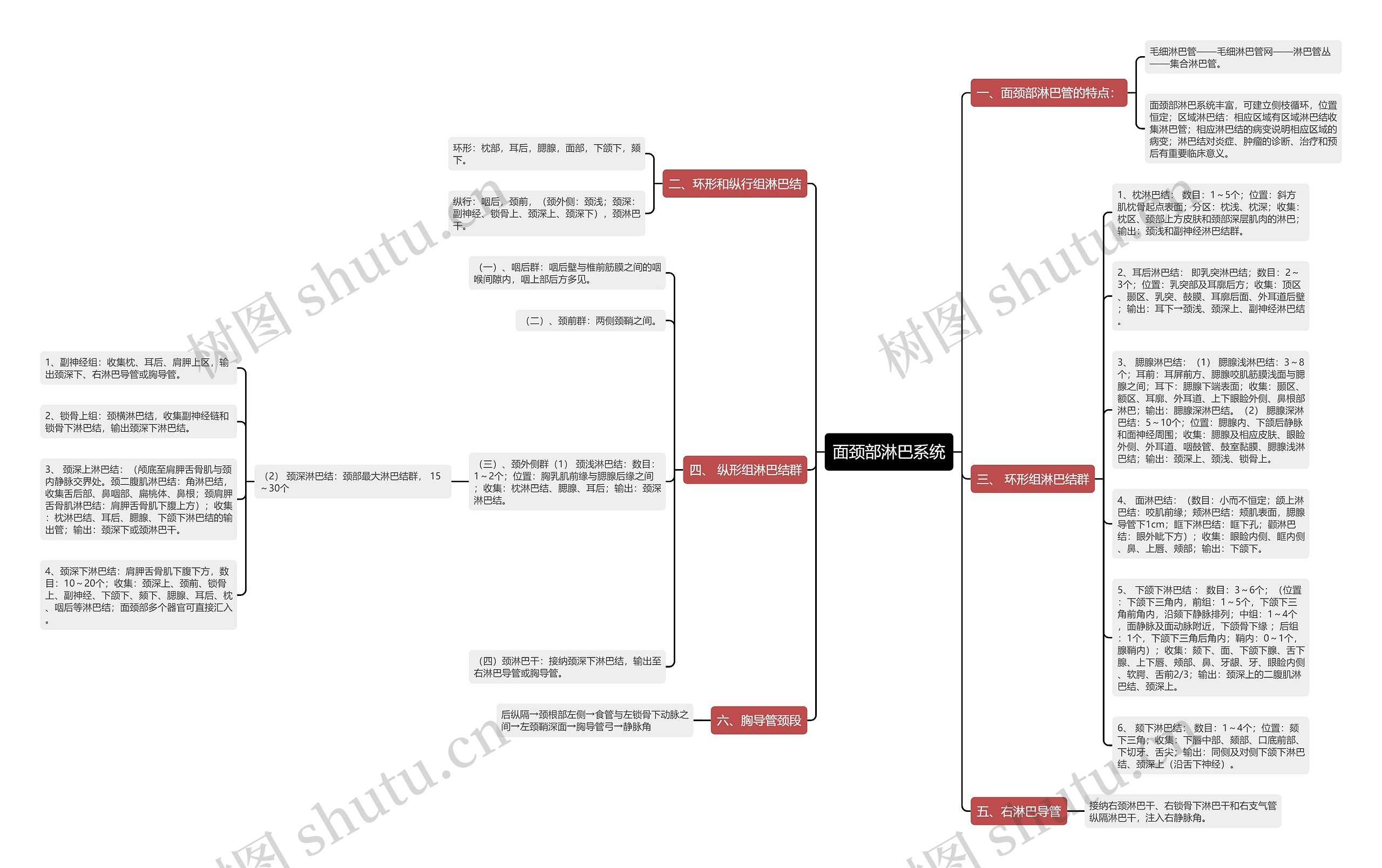 面颈部淋巴系统思维导图