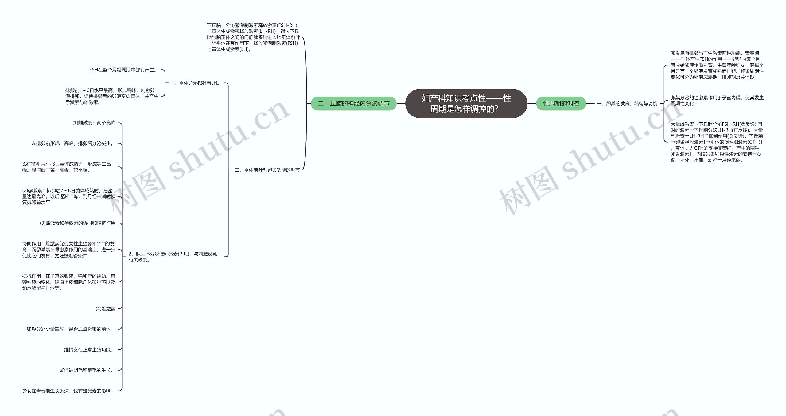 妇产科知识考点性——性周期是怎样调控的？