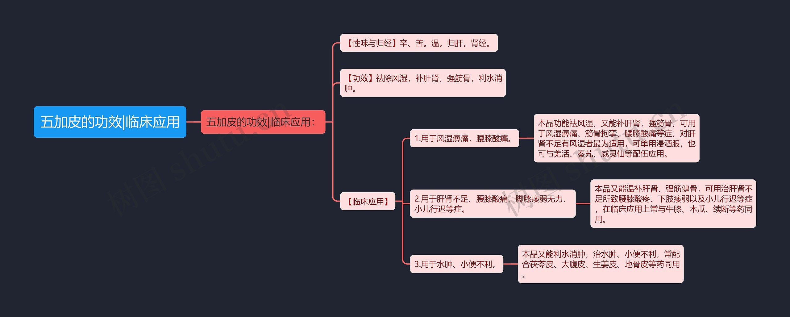 五加皮的功效|临床应用