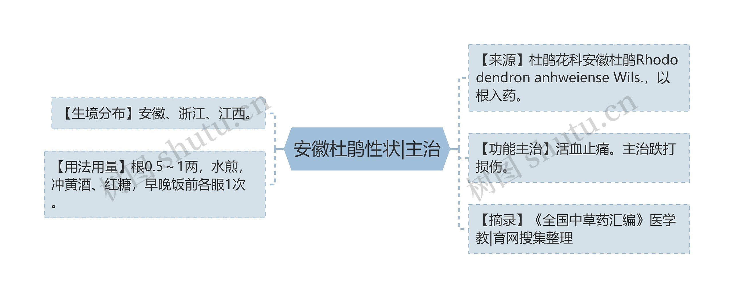 安徽杜鹃性状|主治思维导图