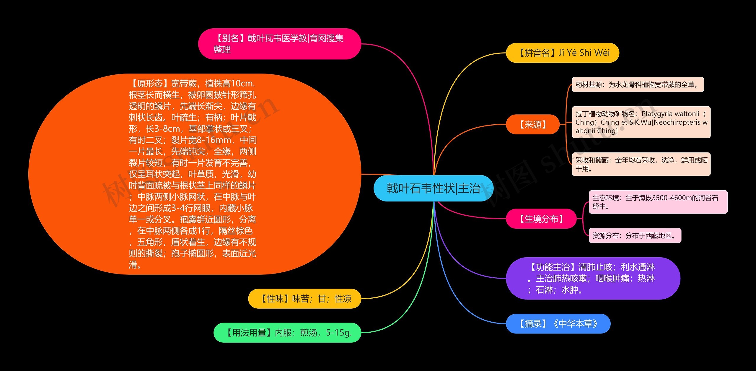 戟叶石韦性状|主治思维导图