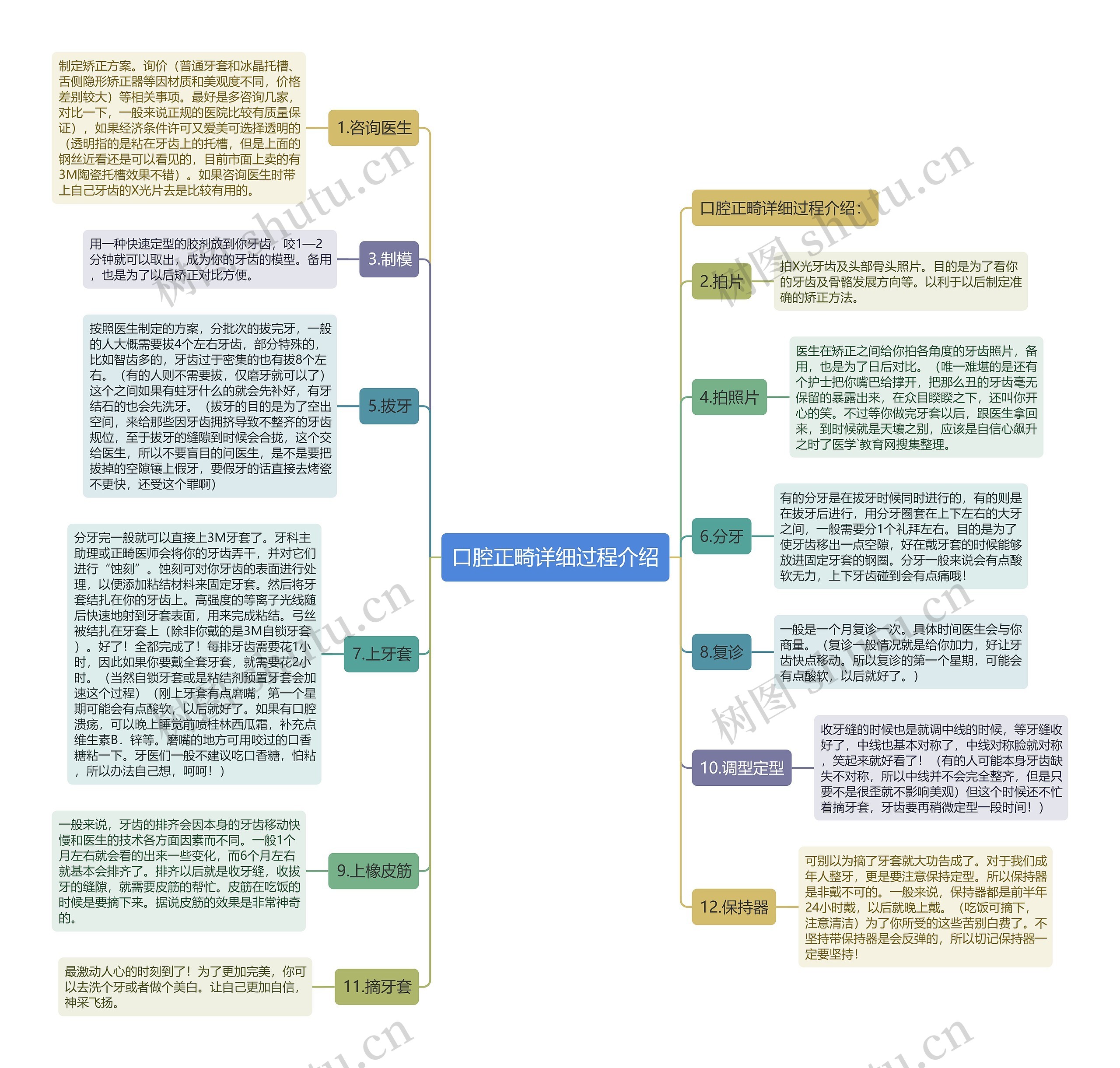 口腔正畸详细过程介绍思维导图