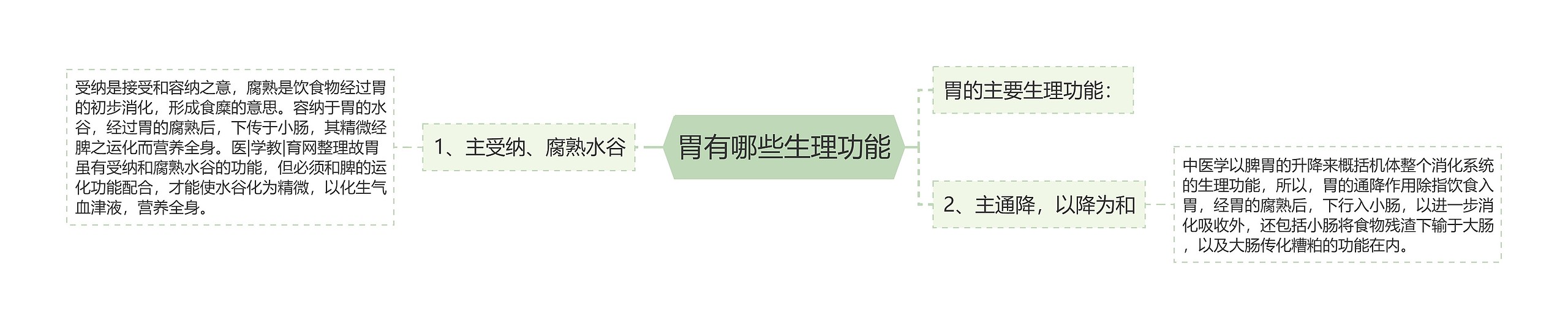 胃有哪些生理功能 胃有哪些生理功能