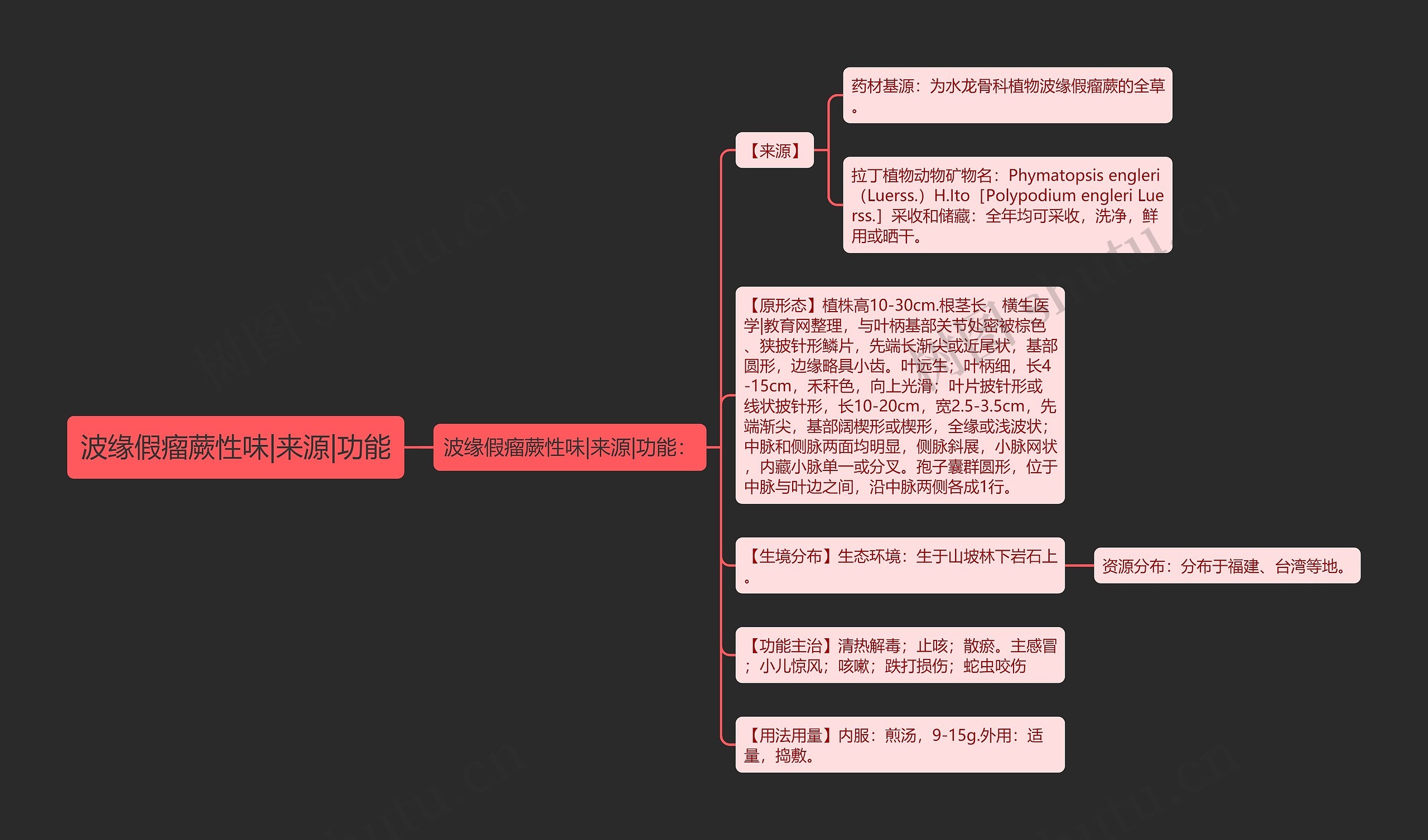 波缘假瘤蕨性味|来源|功能思维导图