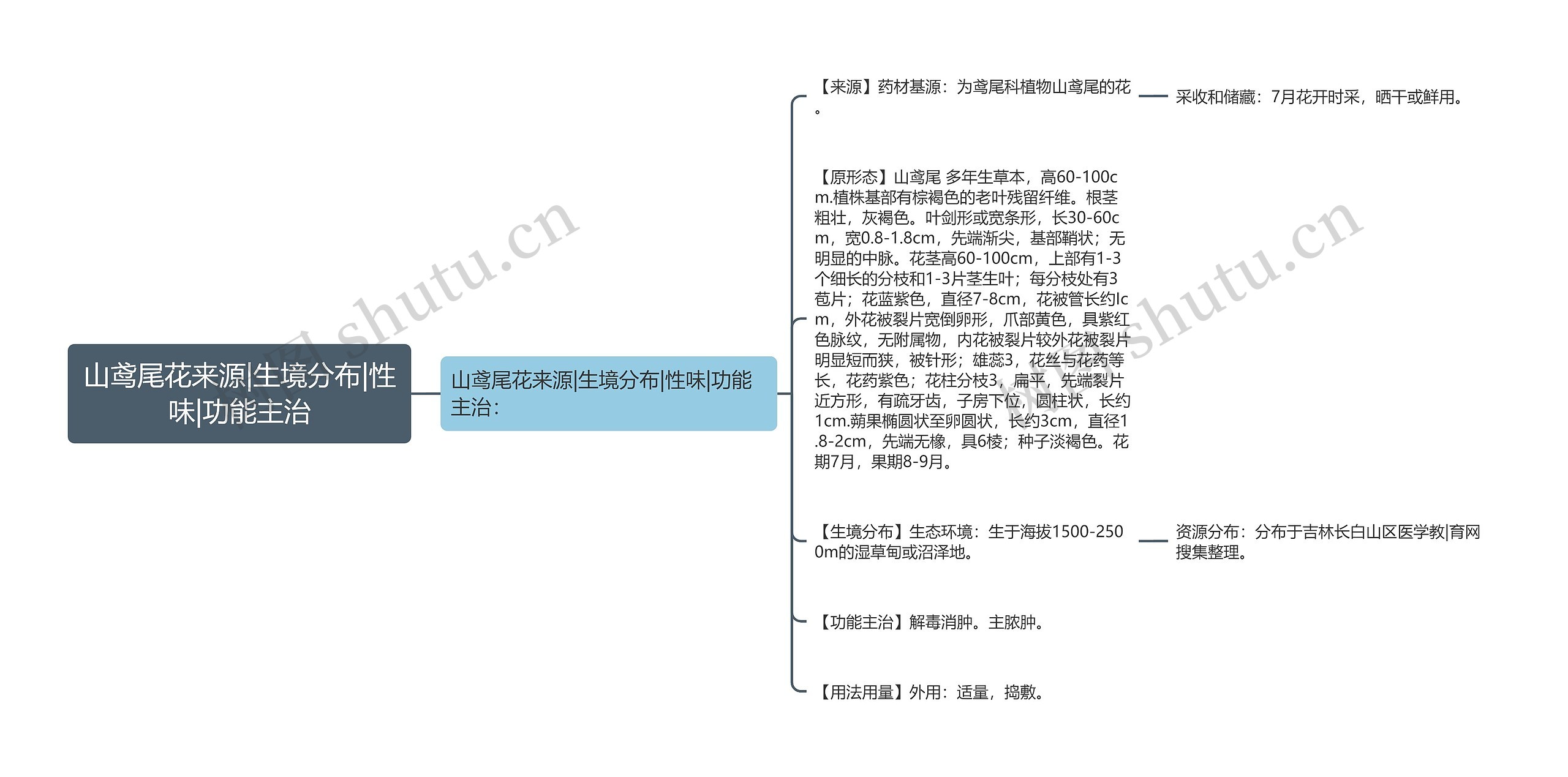 山鸢尾花来源|生境分布|性味|功能主治思维导图