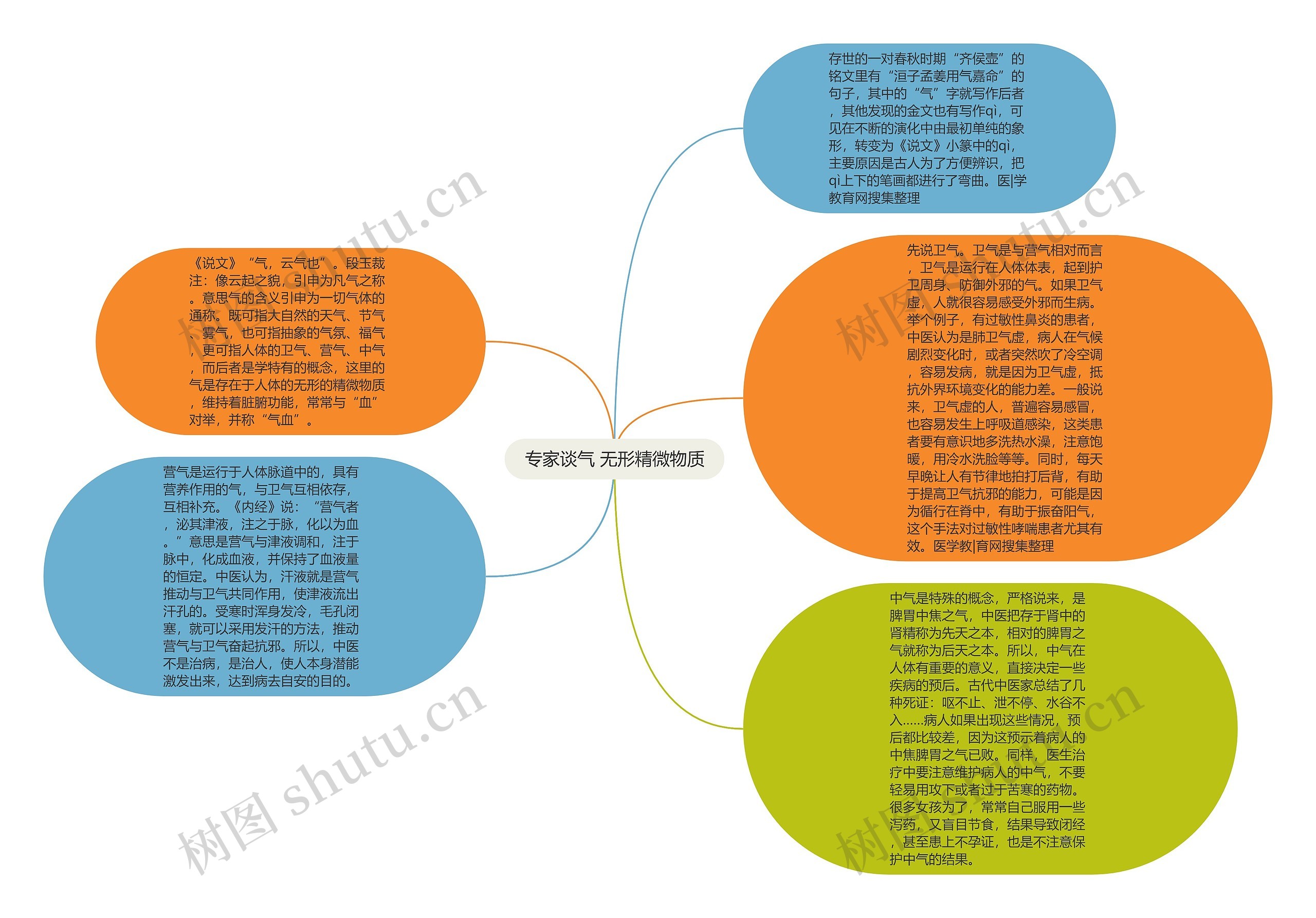 专家谈气 无形精微物质思维导图