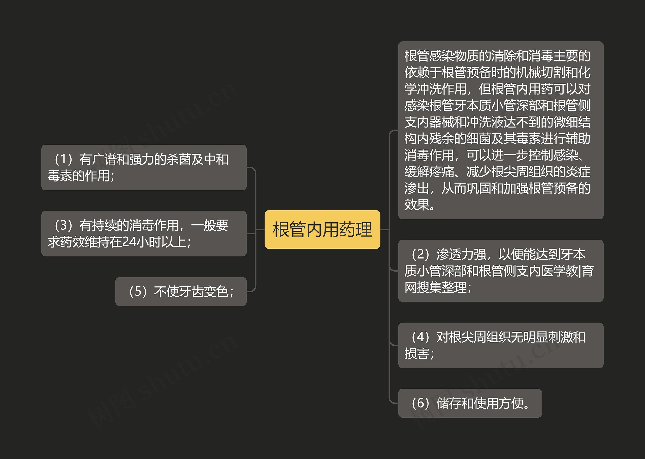根管内用药理