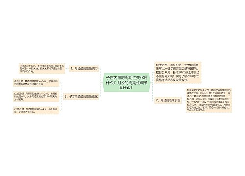 子宫内膜的周期性变化是什么？月经的周期性调节是什么？