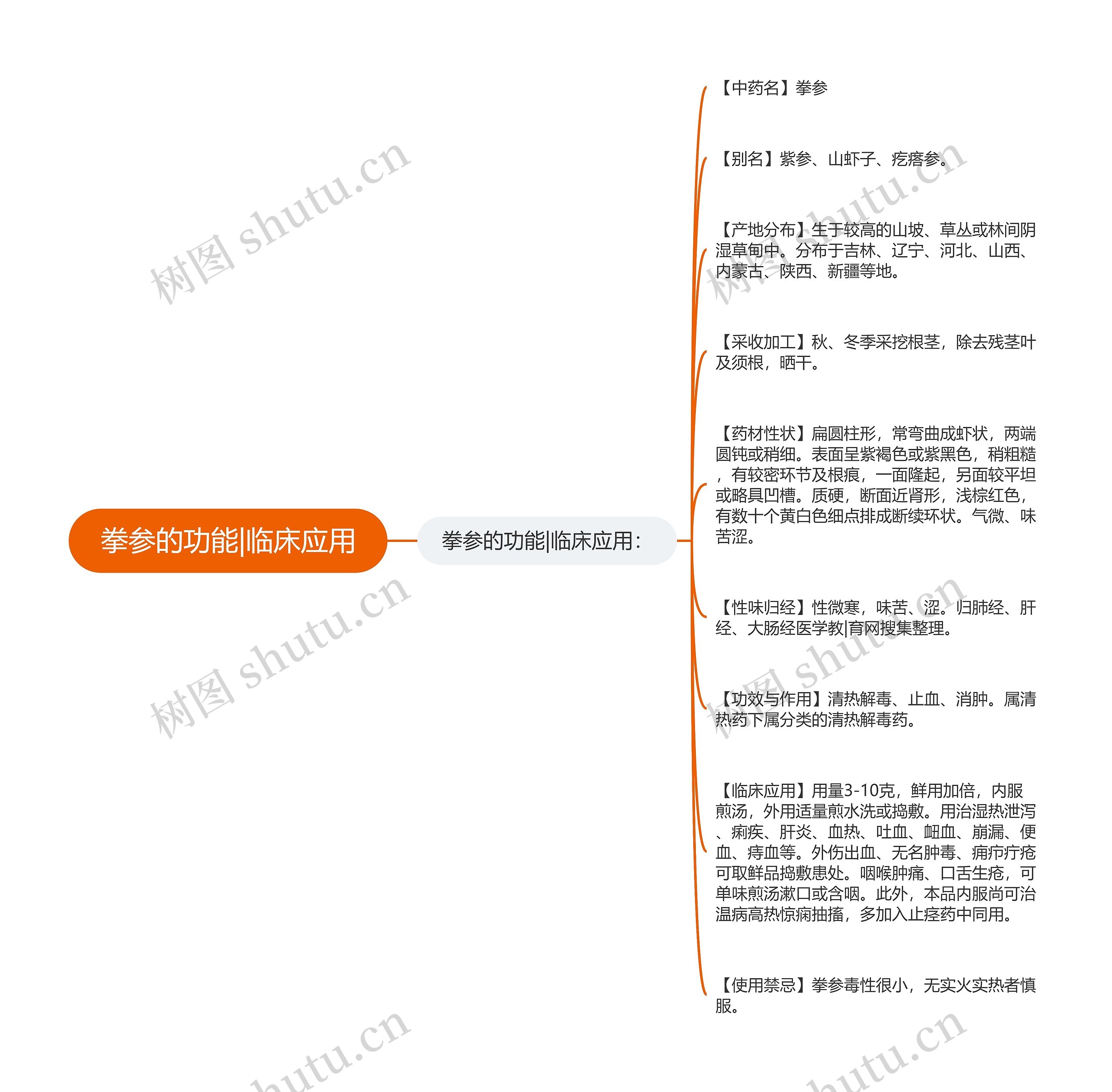 拳参的功能|临床应用