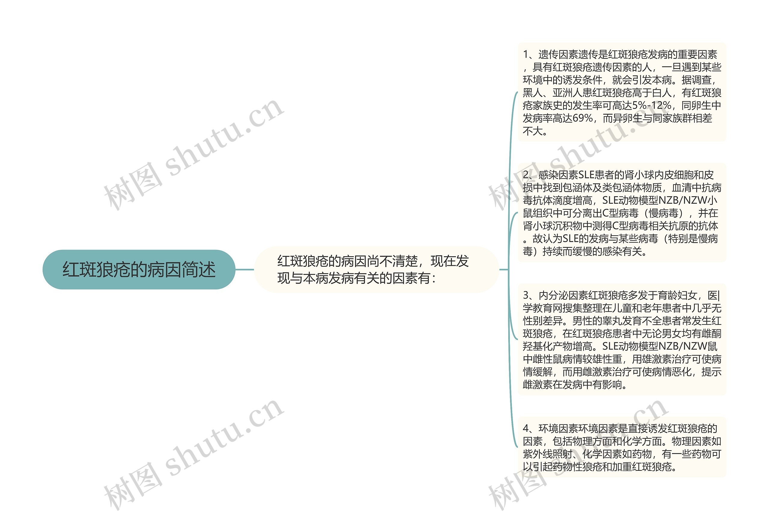 红斑狼疮的病因简述思维导图