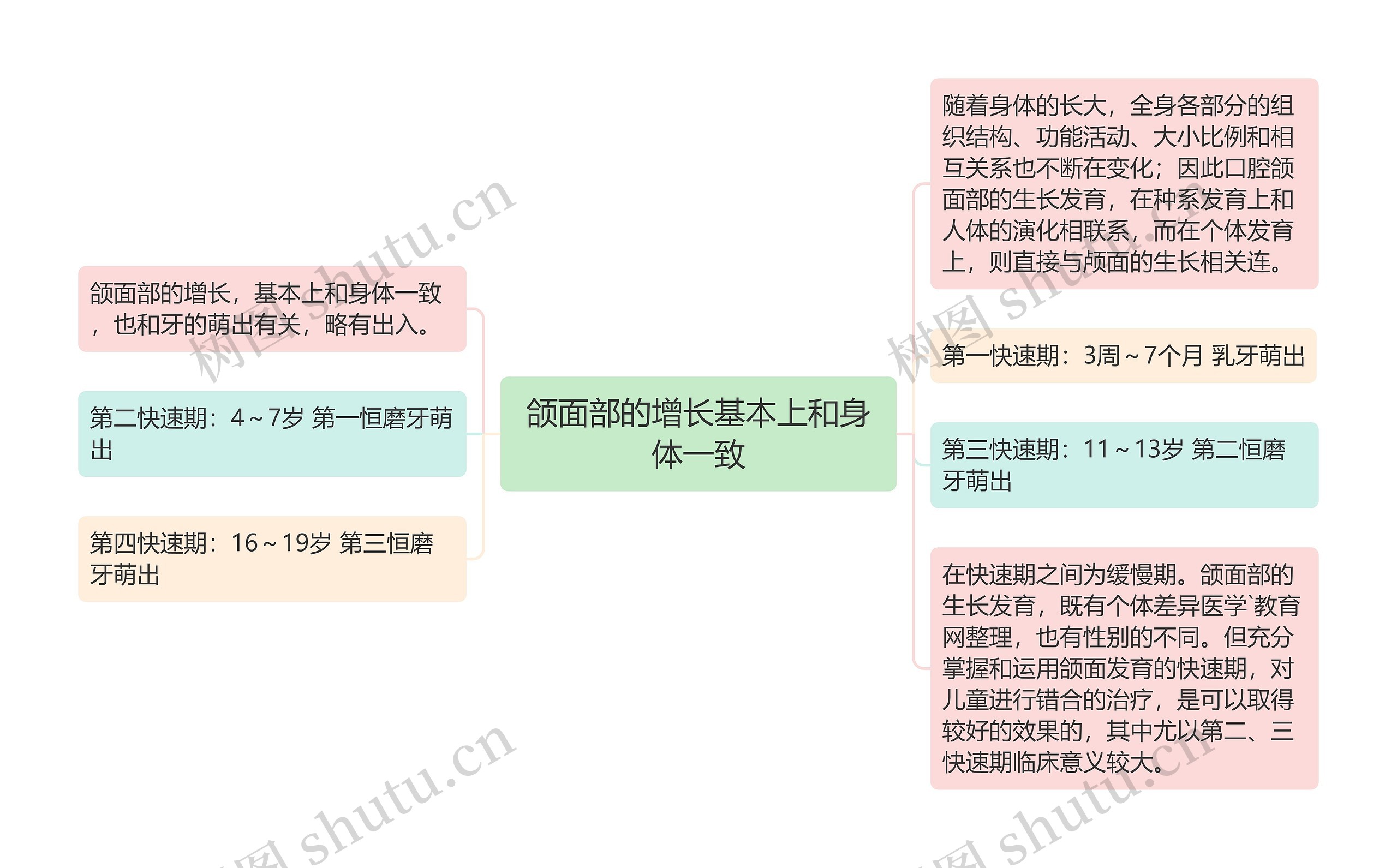 颌面部的增长基本上和身体一致