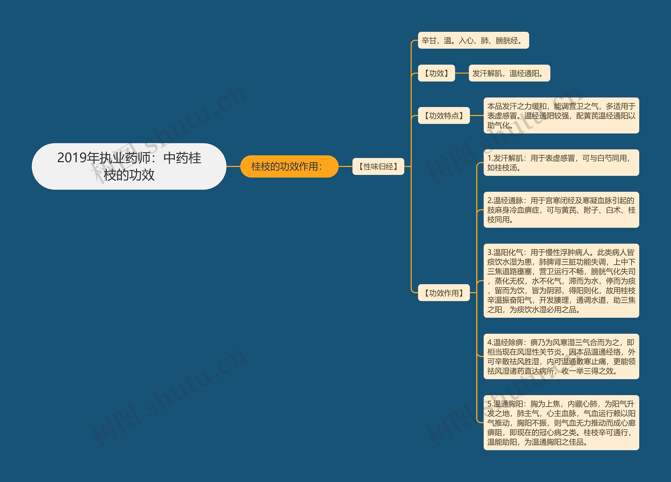 2019年执业药师：中药桂枝的功效思维导图