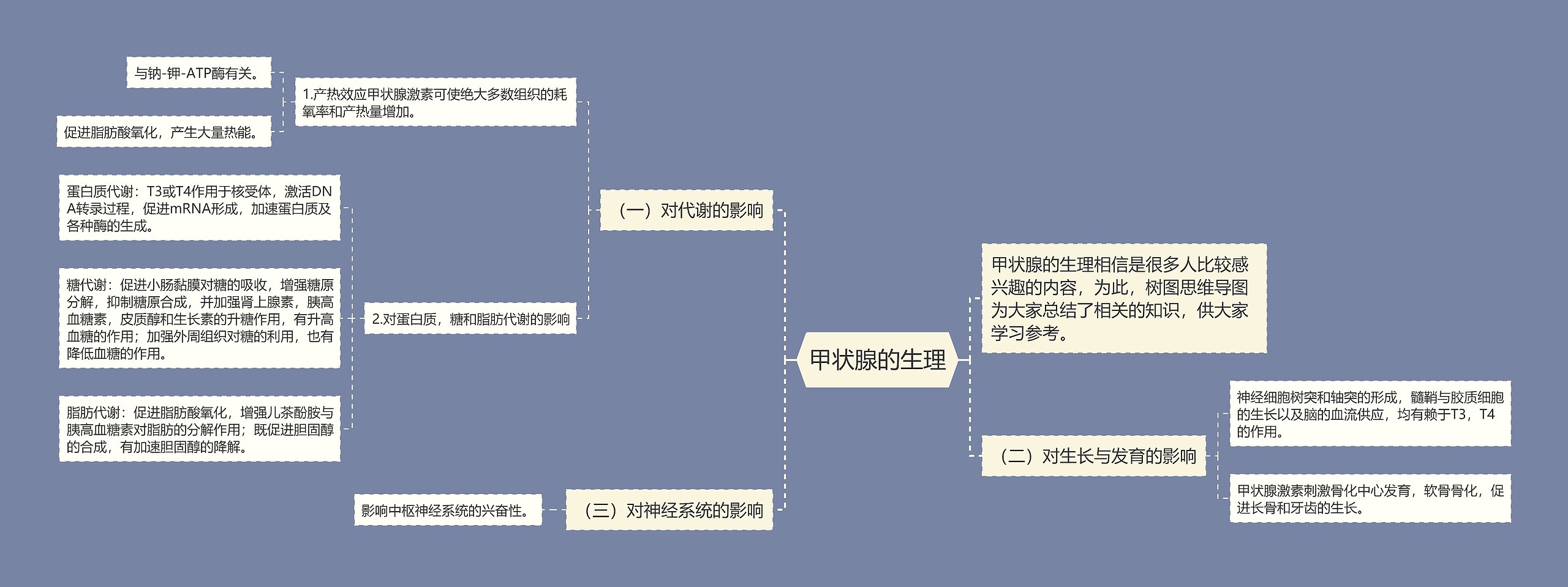 甲状腺的生理 甲状腺的生理
