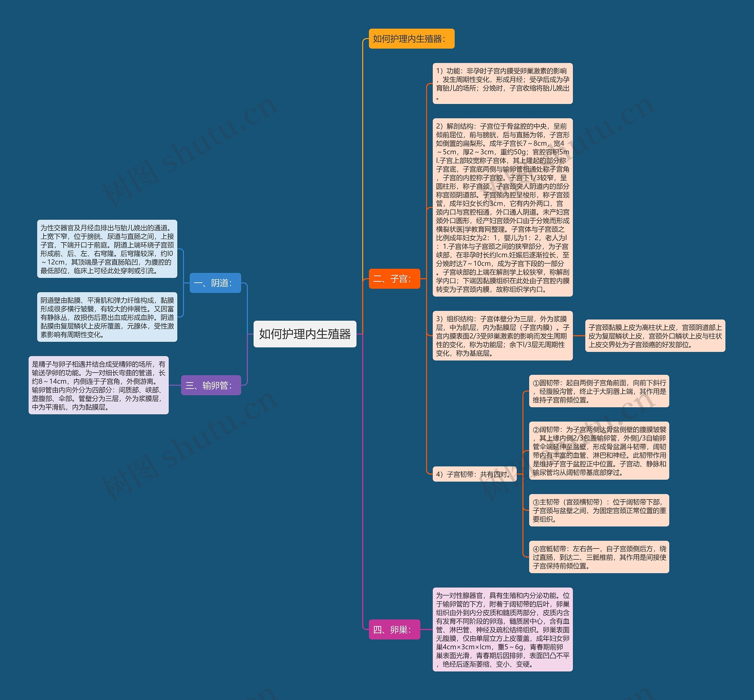 如何护理内生殖器 如何护理内生殖器