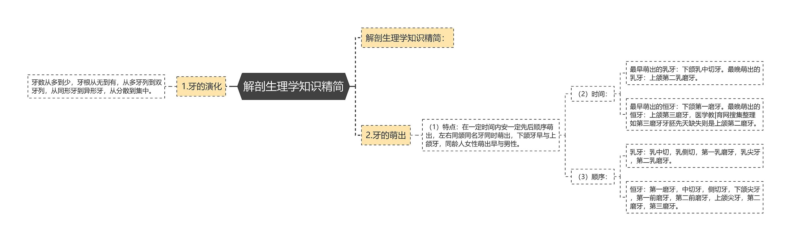 解剖生理学知识精简 解剖生理学知识精简