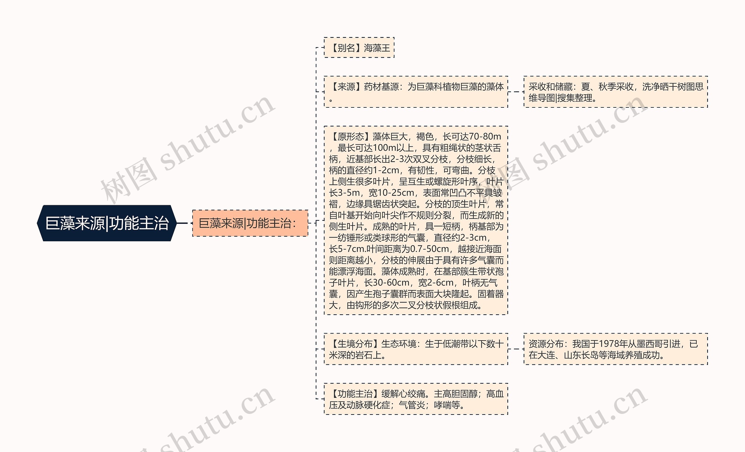 巨藻来源|功能主治思维导图