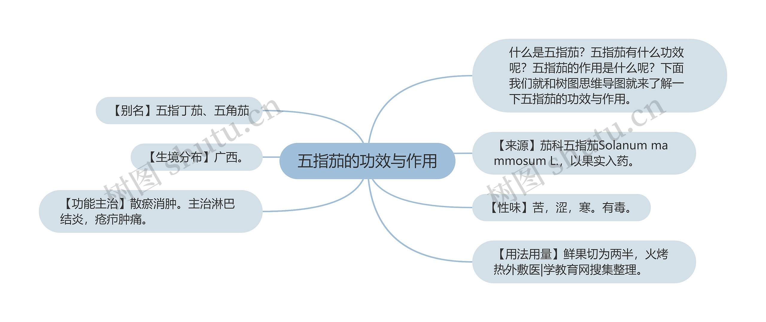 五指茄的功效与作用